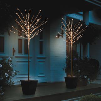 Lichterbaum
