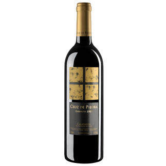 Cruz de Piedra Tinto 2007, Bodega Virgen de la Sierra, Calatayud DO, Spanien