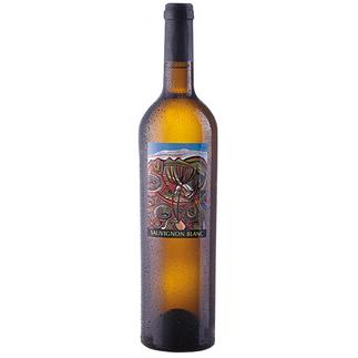 Sauvignon Blanc 2007, Buitenverwachting, Constantia, S�dafrika