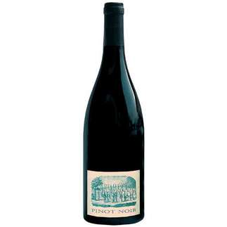 in Pinot Noir Wolf?s Terrasse QbA 2002, Salwey, Oberrotweil, Kaiserstuhl, Deutschland