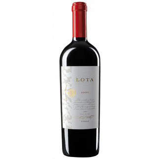 Lota 2005, Cousino-Macul, Valle del Maipo, Chile