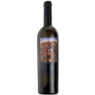 Sauvignon Blanc 2006, Buitenverwachting, Constantia, S�dafrika
